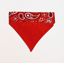 Load image into Gallery viewer, Red Paisley

